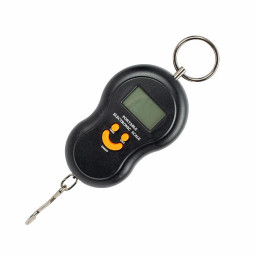 Безмен электронный 50 кг цена деления 1 г PL