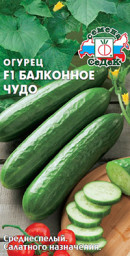 Огурец Балконное Чудо F1 0,2гр Седек