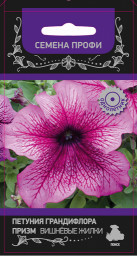Петуния Призм Вишнёвые жилки грандифлора 30шт ПЦцп