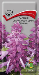 Сальвия Сверкающая Шарм Лавандовая 0,1гр ПЦц