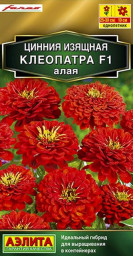 Цинния Клеопатра F1 алая 12шт Аэлита